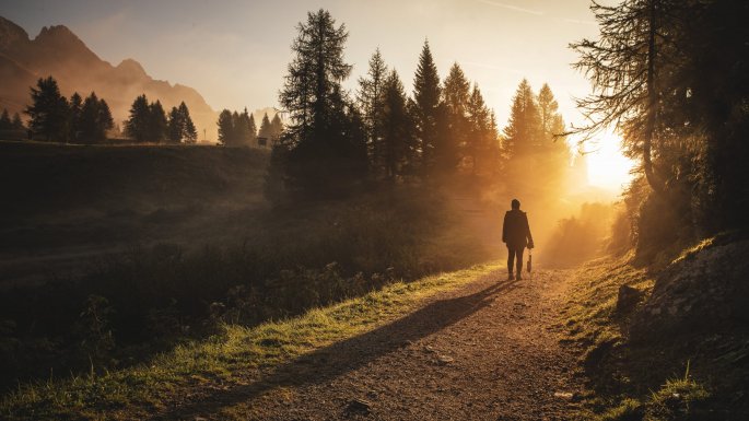 Immagine per Experiences