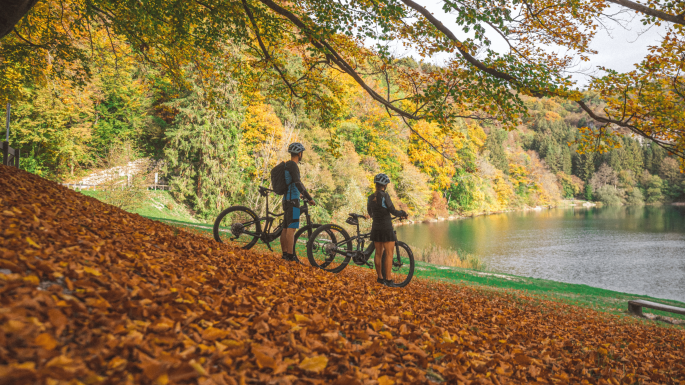 Immagine per Trekking and bike